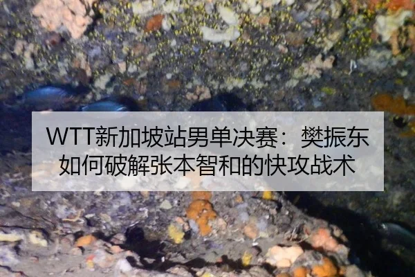 xin-jia-po-zhan-nan-dan-jue-sai-fan-zhen-dong-ru-he-po-jie-zhang-ben-zhi-he-de-kuai-gong-zhan-shu-2-131.jpg